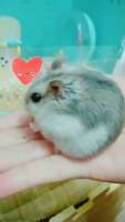 https://images.plurk.com/1BN2MWXwC8RSIvutqO2qk2.jpg