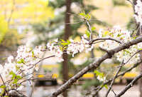 https://images.plurk.com/1BVN6C8RQDNvvG7zCk8v56.jpg