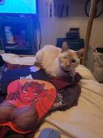 https://images.plurk.com/1Bm9XNOhOF8GrOw5t6Td47.jpg