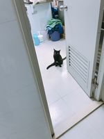 https://images.plurk.com/1BqhiuRdtmWJvj4ba6lGHP.jpg