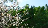 https://images.plurk.com/1BriHK1Dxy1fTDgmi32YLW.jpg