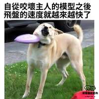 https://images.plurk.com/1BstprXQQpn8xBBjF8izzn.jpg
