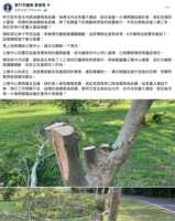 https://images.plurk.com/1BwhWt8Sr494wh4muIkGpA.png