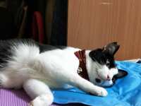 https://images.plurk.com/1C1C0FldfZgFQAPt5uum5t.jpg