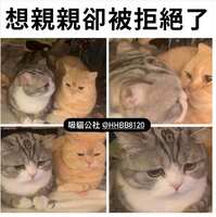 https://images.plurk.com/1C46WAcyyC1hl7QQFMu9Ao.png