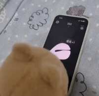 https://images.plurk.com/1C5RSmFU51kfMs47QqU2r4.gif