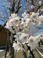 https://images.plurk.com/1CD39hsfVJxiAqbq2dQCsn.jpg