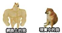 https://images.plurk.com/1CI6JeiumNZ7RWJz2cDoux.png