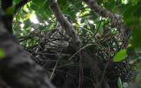 https://images.plurk.com/1CNkpEQnTD7KF5FWCxxipi.jpg