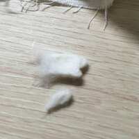 https://images.plurk.com/1CO1SNy2QCGsqJUjK1ZF7P.jpg