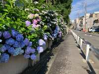 https://images.plurk.com/1CWo5dlquU0QY8tzf5bC6d.jpg