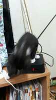 https://images.plurk.com/1CjSYLPdtMmHmtwj7gncHe.jpg