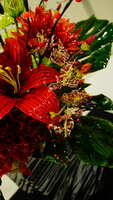 https://images.plurk.com/1D33fjuiuXSMmEMqhpzIOm.jpg