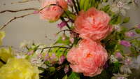 https://images.plurk.com/1D4kpxcQ4DGe0tVkLrOoz9.jpg