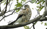 https://images.plurk.com/1D52l96XGevzK3tJPLcXPI.jpg