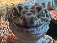 https://images.plurk.com/1DC5mDLg7UU0hCEsQWnZsI.jpg