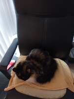 https://images.plurk.com/1DFy9fhE44oU5VO1Ew8n9q.jpg