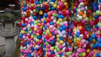 https://images.plurk.com/1DMx68TEbopecbcuwjZGx2.jpg
