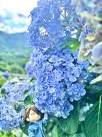 https://images.plurk.com/1DN0nTWJJZmCBcZhaDeGSB.jpg