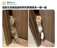 https://images.plurk.com/1DQFpbwfTQcuXYAKJ81Puh.jpg