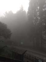 https://images.plurk.com/1DQUWY0XTIBbBqmEaPJkRG.jpg