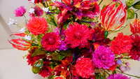 https://images.plurk.com/1DVtTqLbc4GVpcjDSBZOVk.jpg