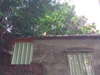 https://images.plurk.com/1DbBhyKCmmpGuMKOXF1sAT.jpg