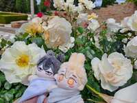 https://images.plurk.com/1DbdpNHSDtQwo7hO6NbDxt.jpg