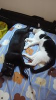 https://images.plurk.com/1DrGENN1Nz60O4iywLBT.jpg