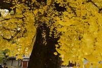 https://images.plurk.com/1DtnUiVVdvGbHeMz3NbWZi.jpg