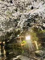 https://images.plurk.com/1DxuIFBGtwRsS3ncW3EKr4.jpg