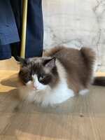 https://images.plurk.com/1DyFQTDjbtzvQvOKcV6td6.jpg