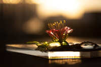 https://images.plurk.com/1DyR1x8rApVZUr93gWc7mF.jpg