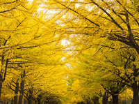 https://images.plurk.com/1E6KI54CcKWKxZ2TmGzVDh.jpg