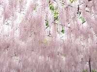 https://images.plurk.com/1EDSXP9y5DHqC7QdN4zyEG.jpg