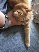 https://images.plurk.com/1EFljnsyHpN5TIwIAtMw4I.jpg