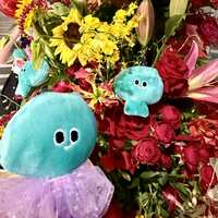 https://images.plurk.com/1ENh6Xy4oRoxSRAoBNLEAB.jpg