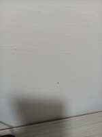 https://images.plurk.com/1ESR47dsjyHslFwe9eKETb.jpg