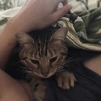 https://images.plurk.com/1EU6rsPf7Kj6gu3pgRT4D3.jpg