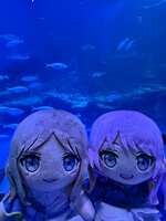 https://images.plurk.com/1EUkyExB6dPVeSygwhElm9.jpg
