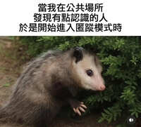 https://images.plurk.com/1EYZE8J6T3K4x5uWKpQfNH.jpg