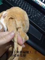 https://images.plurk.com/1EZaLceTxaqx3iqatp66Wo.jpg