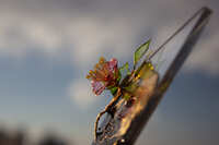 https://images.plurk.com/1EaWpg07iGmDzkBvOfhSCH.jpg