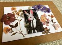 https://images.plurk.com/1Eagntrgf310ISpjsRD4Ie.jpg