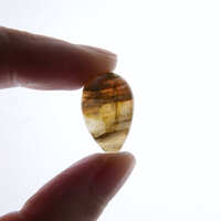 https://images.plurk.com/1Ebkmx3Hdk47KLIIztCZ51.jpg