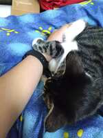 https://images.plurk.com/1EhsEKyQNOo1j9q6uv0Mer.jpg