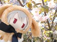 https://images.plurk.com/1EiPNlQJyPlfQewAgK2wbh.jpg