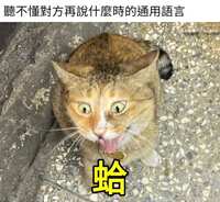https://images.plurk.com/1EvIMQwNnbnoql3e3xksXK.jpg