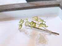 https://images.plurk.com/1F0CTy3rIxo2COHrZlX5J1.jpg