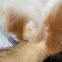 https://images.plurk.com/1F43yKftvj2xoqLHeJ2jGY.jpg